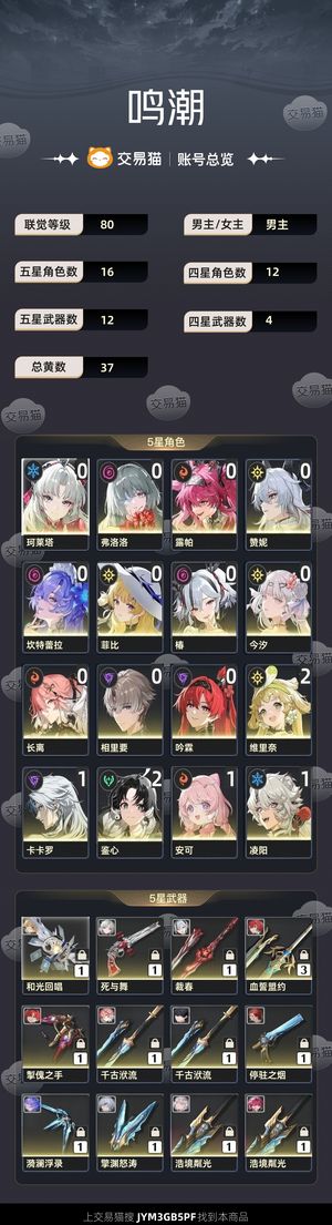 鸣潮【80级】 全息海虚深塔满，多练度4个01