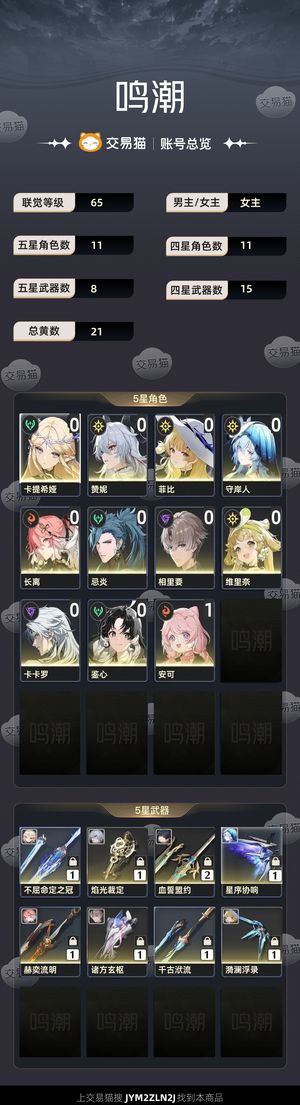 鸣潮【65级】 卡提希娅有专武