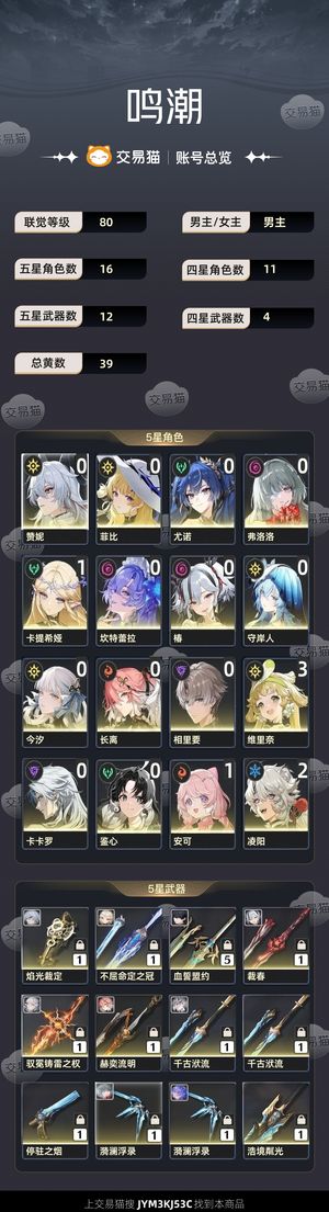 鸣潮【80级】 鸣潮80级