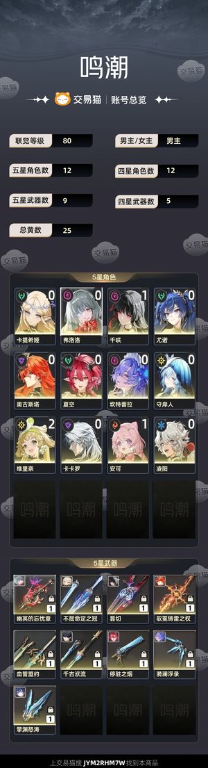 鸣潮【80级】 三大配队 