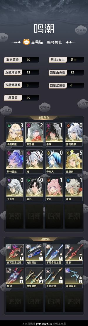 鸣潮【80级】 3.0太大了下不了不玩了