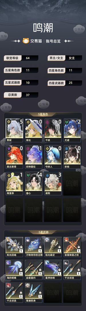 鸣潮【64级】 光噪日月队