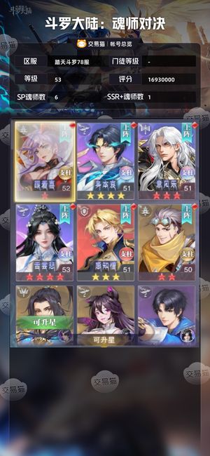 斗罗大陆：魂师对决【 ,53级】准红五婉儿霍雨浩拉伊莱克斯拉满