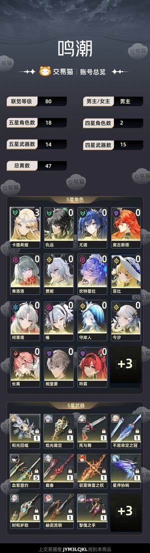 鸣潮【80级】 31卡，带两百抽