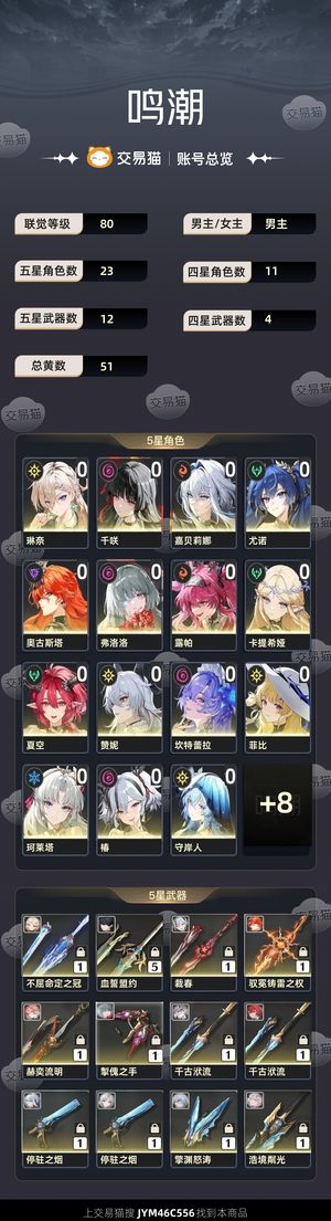 鸣潮【80级】 多角色多配队