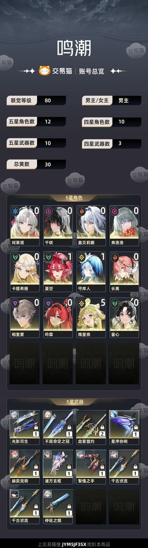 鸣潮【80级】 卡夏千多金各种配对齐全