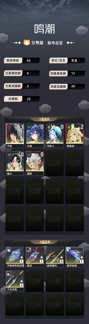 鸣潮【65级】 到2.8全部拉满，后面没动
