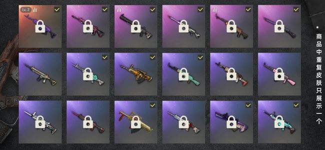 绝地求生（PUBG）生存等级306 名誉等级2 成长武器1 载具2 枪皮36 布加迪一段300多级美杜莎2级