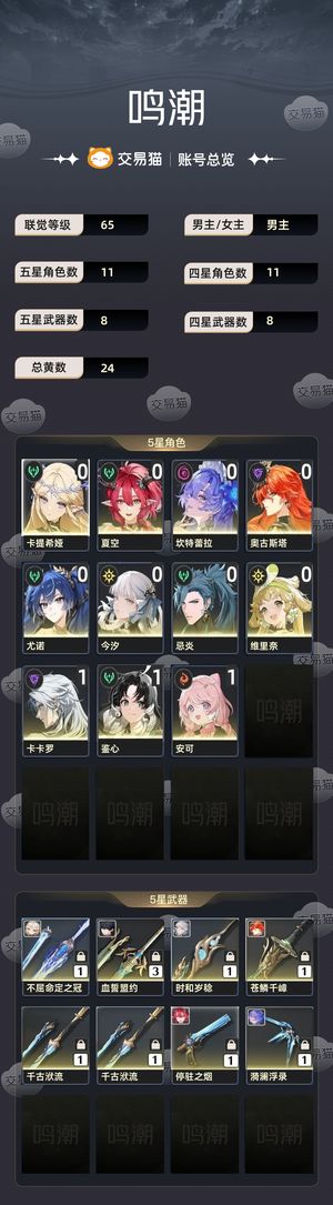 鸣潮【65级】 日月，卡夏，今坎