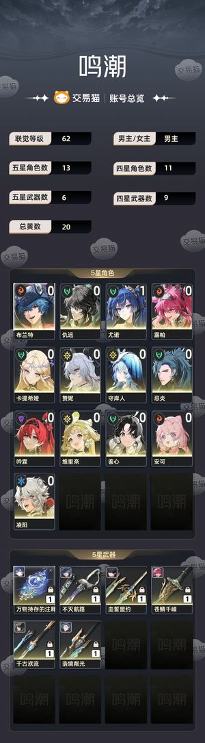 鸣潮【62级】 鸣潮 出号