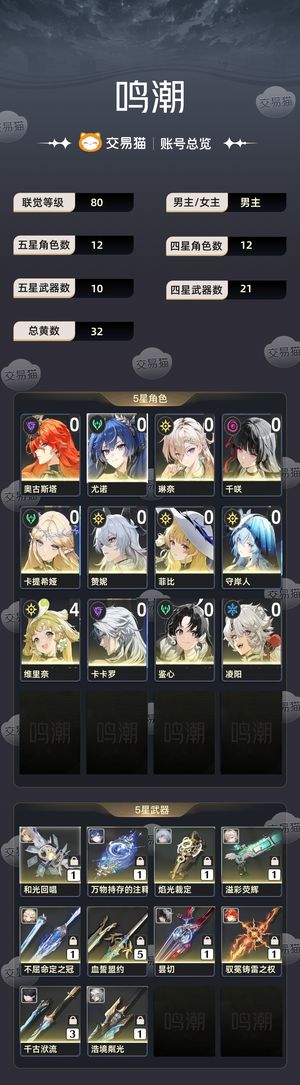 鸣潮【80级】 01日月赞菲卡提千咲琳奈