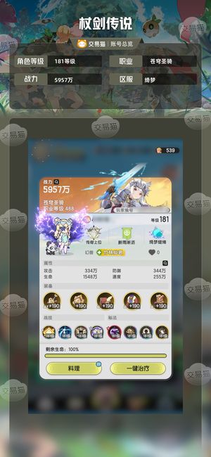 杖剑传说【181级苍穹圣骑】3万氪，面位第6