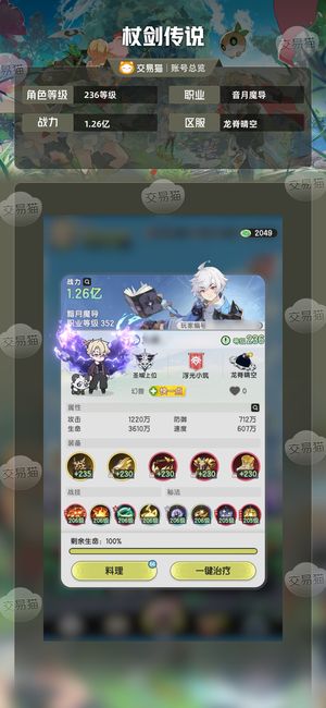 杖剑传说【236级 】榜25，2万精氪在榜术士