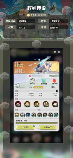 杖剑传说【197级苍穹圣骑】五万氪度，位面第一骑士