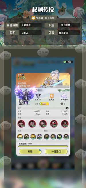 杖剑传说【259级誓约圣骑】3万氪前十称号可刀