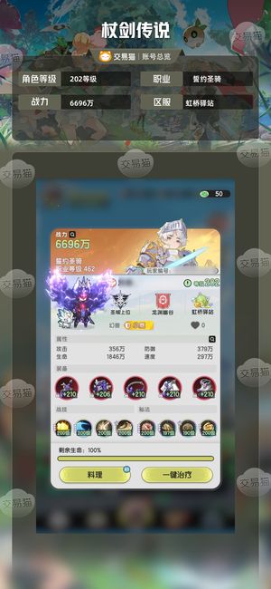 杖剑传说【202级誓约圣骑】6万重氪号，60个不朽技能