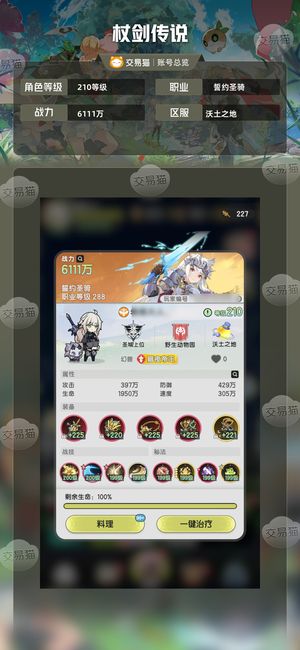 杖剑传说【210级 】全格挡千氪骑士战力6111W