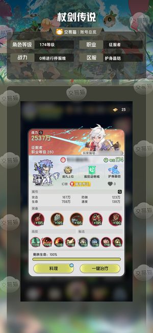 杖剑传说【174级征服者】170级万氪斗士2500W