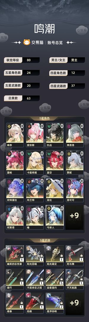 鸣潮【80级】63黄 有小爱 急出可刀 