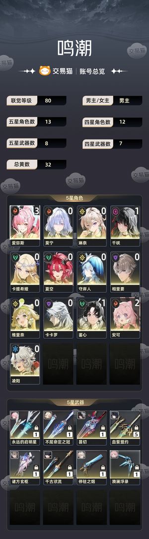 鸣潮【80级】成品号，两队t0配队