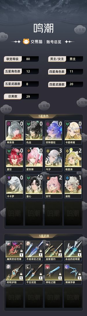 鸣潮【80级】 专武加爱弥斯