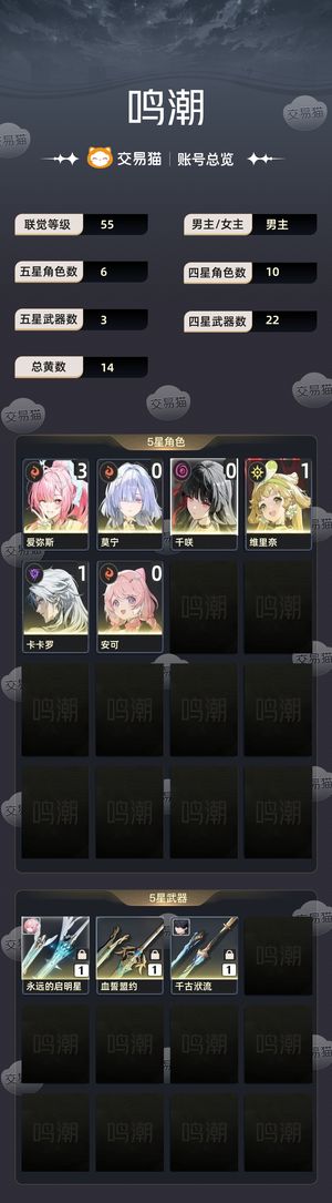 鸣潮【55级】 31爱弥斯聚爆震协双体系