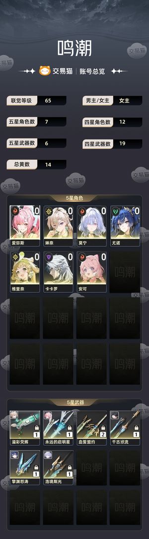 鸣潮【65级】 超低探索完整爱弥斯队