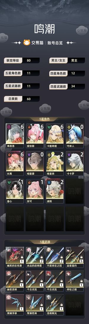 鸣潮【80级】 11111