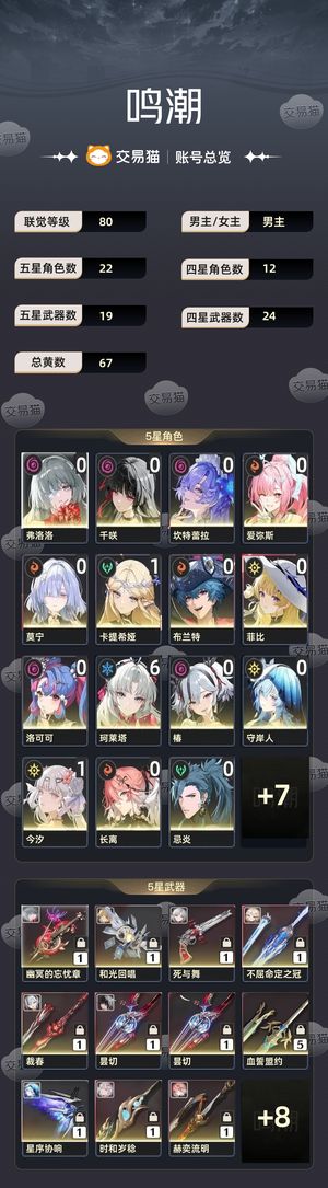 鸣潮【80级】 66金100开服高氪号