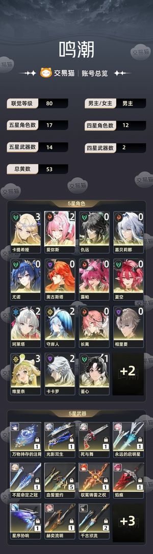 鸣潮【80级】 3加1卡提  2加1小爱