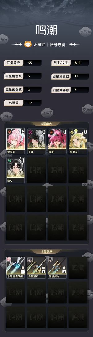 鸣潮【55级】 6命爱弥斯聚爆队