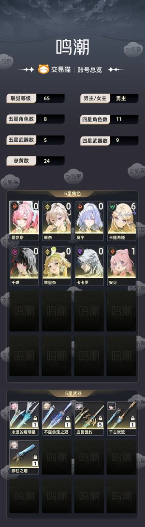 鸣潮【65级】 61毕业卡提 小爱队齐全