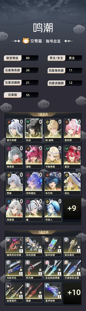 鸣潮【80级】 自玩多金多队伍性价比号