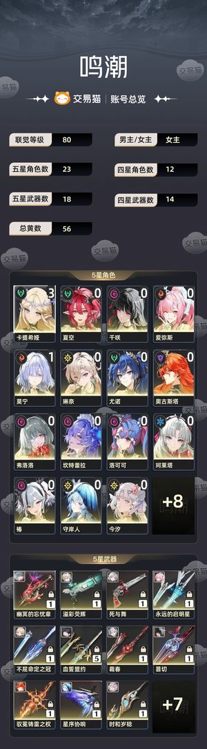 鸣潮【80级】 开服账号，自玩随缘出