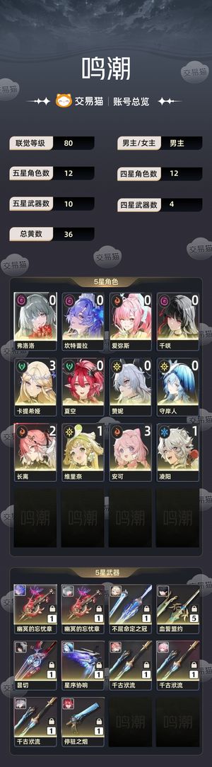 鸣潮【80级】 3 1高练卡提