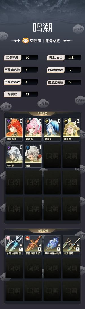 鸣潮【60级】 没时间玩了