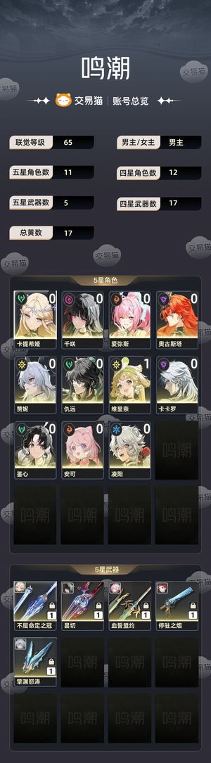 鸣潮【65级】 自玩号，有专武