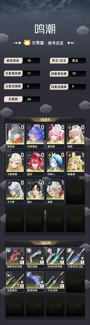 鸣潮【70级】 完美入坑号