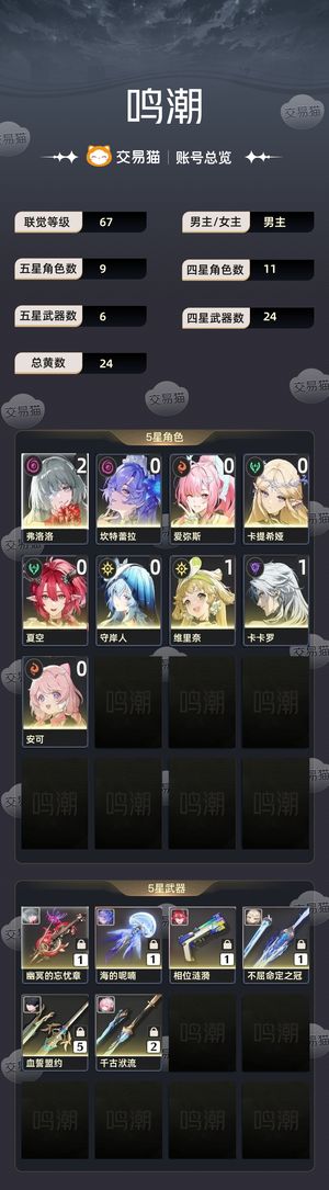 鸣潮【67级】 21弗坎 风队 3k星声