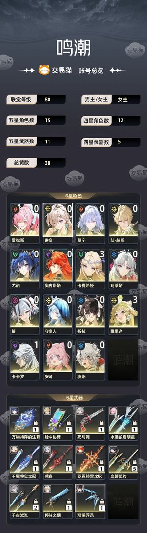 鸣潮【80级】 爱琳莫成型队伍声骸全毕业