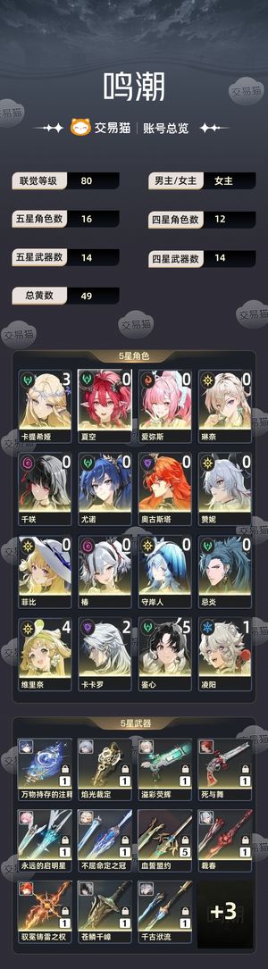 鸣潮【80级】 31卡夏爱琳日月赞菲守屯屯鼠