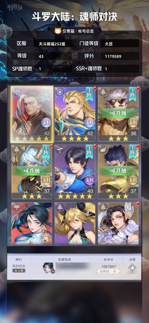斗罗大陆：魂师对决【大匠,43级】魂铠神环号