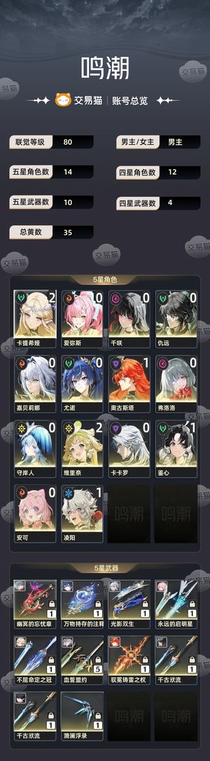 鸣潮【80级】 四大顶级配对