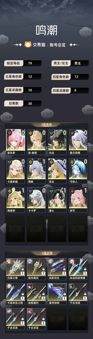 鸣潮【79级】 79级鸣潮账号