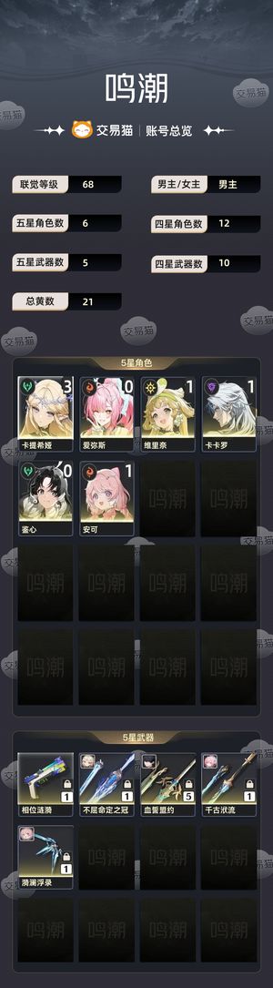 鸣潮【68级】 自玩号，回本个月卡钱