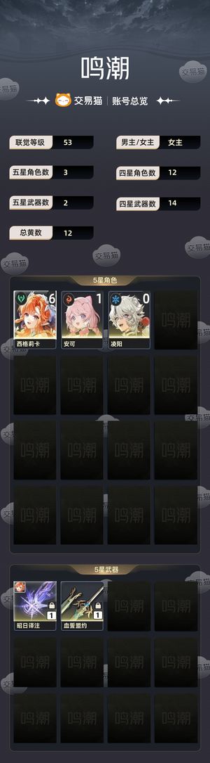 鸣潮【53级】 61西格莉卡带1w星声