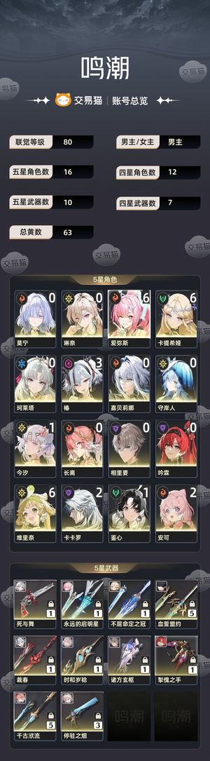 鸣潮【80级】 卡提爱弥丝双满链皮肤差赞多专武