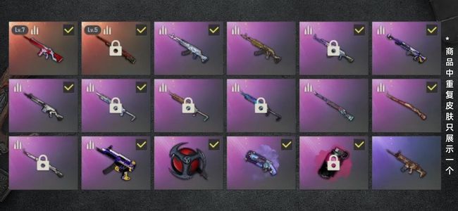 绝地求生（PUBG）生存等级676 名誉等级4 成长武器2 载具12 枪皮134 布加迪7无信号5悟空汉娜