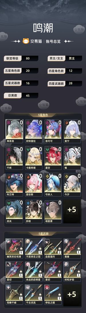 鸣潮【80级】 一手自玩号，配队齐全