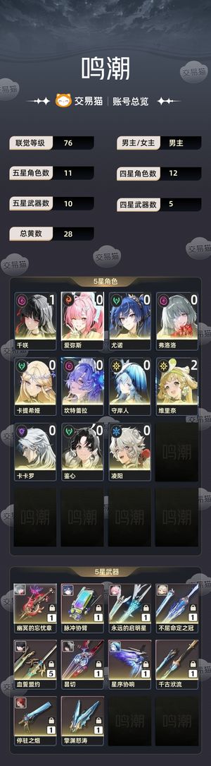 鸣潮【76级】 鸣潮76级账号，没时间玩了出